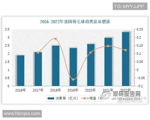 武汉羽毛球队节奏表现数据分析与战术优化研究